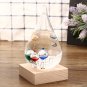 Water Drop Galileo Thermometer Color Globe Temperature Indicator 18-26 Christmas Gift Decorations