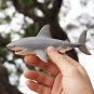 PVC White Shark Model Toys Ocean Sea Sealife Animal Figure Children Kids Gift
