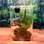 Acrylic Clear Plant Pet Feeding Tank Empty Box Reptile Insect Breeding Box Cage Decorations