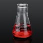 100mL Lab Glass Erlenmeyer Conical Flask Bottle w/ Rim Borosilicate Laboratory Glassware