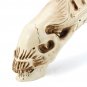 Xenomorph Alien Movie Skull Resin Heteromorphosis Sketch Model Home Decor Toys Bar