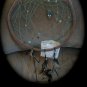 Simple Dreamcatcher
