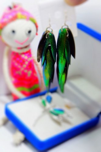 Jewel Beetle Earring