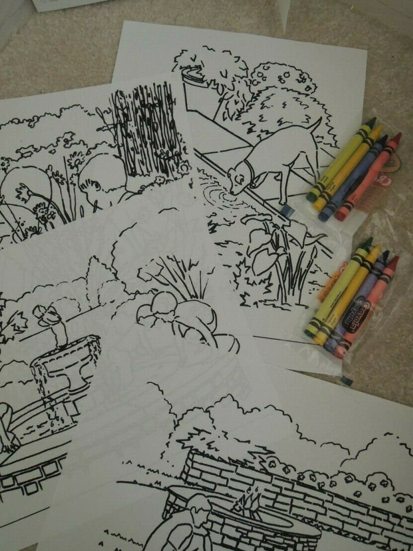 Coloring Pages Garden Theme Line Art + 4 Colored Sample Pages + 2 Pkg Crayons