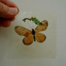 Real Butterfly Encapsulated in Pressed Acrylic Vtg 60s Insect Taxidermy Specimen Real Butterfly Encapsulated in Pressed Acrylic Vtg 60s Insect Taxidermy Specimen
