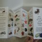 Tidepool Marine Life Identification Chart Tiny Sea Creature I D Guide California