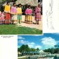 Silver Springs Florida Booklet