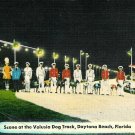 Daytona Beach Volusia Dog Track