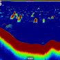 Simrad NSS12 EVO3 | Fish Finder | Chart Plotter | GPS Navigation | Marine GPS