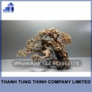 Aquarium Bonsai Tree
