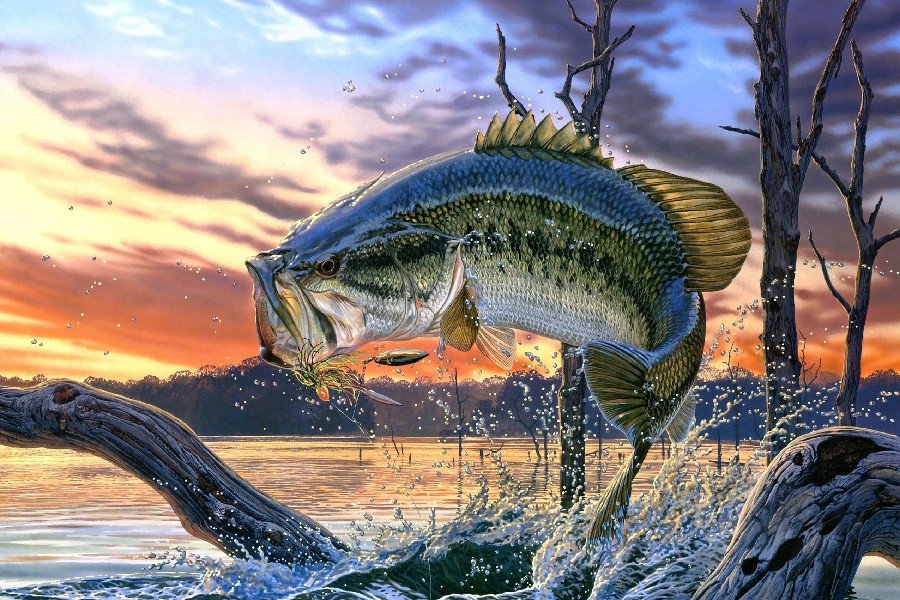 Bass Fishing Lake Sunset Fabric Silk Posters And Prints Home Decor Wall Art 24x36 Inches