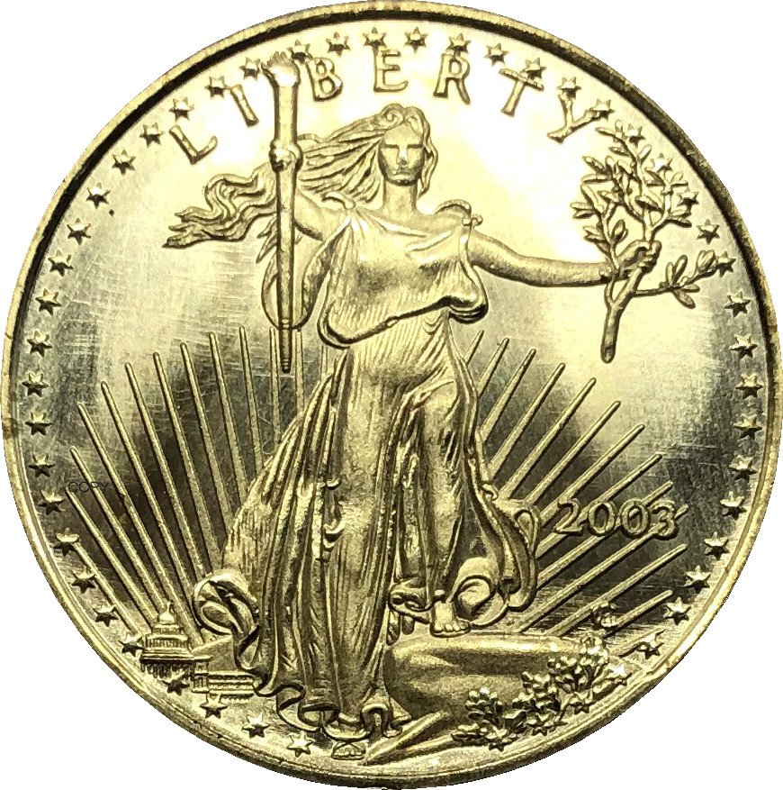 2003 United States 25 Dollar America Eagle Gold Copy Coin