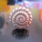 Fine Silver Rings HILL TRIBE Ethno Anello Argento Spiral Snails Round Halo 56059