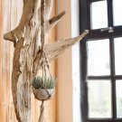 Plant Hanger Macrame Knots Garden Indoor Outdoor Hown - store