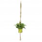 Plant Hanger Macrame Knots Garden Indoor Outdoor Hown - store