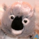 Webkinz - Lil' Kinz - Koala Bean Bag Plush! NEW!