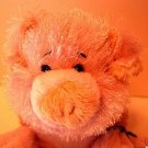 Webkinz - Lil' Kinz - PIG Bean Bag Plush! NEW!