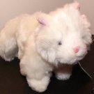 Webkinz - Lil' Kinz - Persian Cat Bean Bag Plush! NEW!