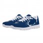 Penn State Nittany Lions Women Sneakers, Custom Lightweight Running Shoes, Penn State University Fan