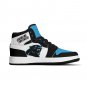 Custom Carolina Panthers Men High-Top Sneakers NFL Fan Shoes | Personalized Panthers Team Sneakers