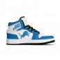 Custom Detroit Lions Women High-Top Sneakers | NFL Fan Shoes | Personalized Lions Team Sneakers