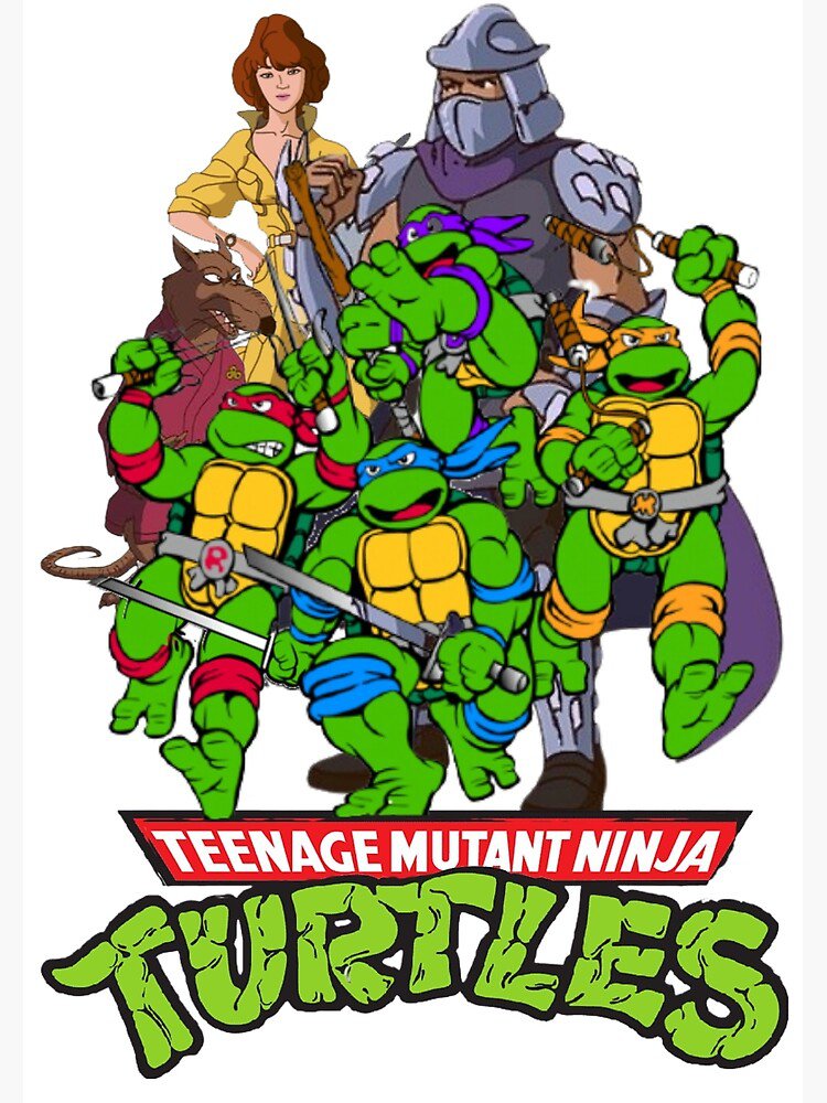 TEENAGE MUTANT NINJA TURTLES TMNT DVD set COMBO PACK 1987 & 2003