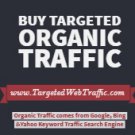 Buy Organic Traffic -  Real Visitors to your website