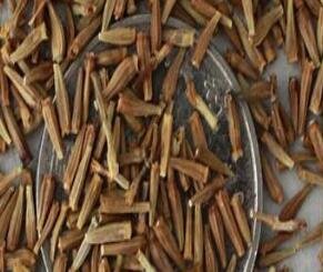3000Pcs A Set  Pyrethrum cinerariifolium Rare Flower Seed  proqgf