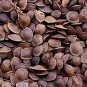 100Pcs A Set Asparagus setaceus(Kunth) seed ProQgf
