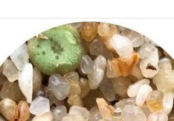 25Pcs A Set  Conophytum SH2275 Seed ProQgf