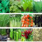 3000Pcs A Set random vegetable seed ProQgf
