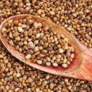 500Pcs A Set hemp seed ProQgf