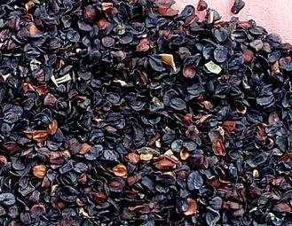 5000Pcs A Set carnation flower seed ProQgf