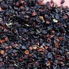 5000Pcs A Set carnation flower seed ProQgf