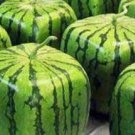5000Pcs A Set SQUARE WATERMELON fruit seed ProQgf