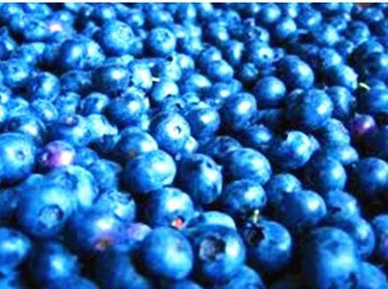 200Pcs A Set blueberry fruit  seed ProQgf