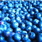 200Pcs A Set blueberry fruit  seed ProQgf