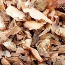 500Pcs A Set Pseudolarix Amabilis seed ProQgf