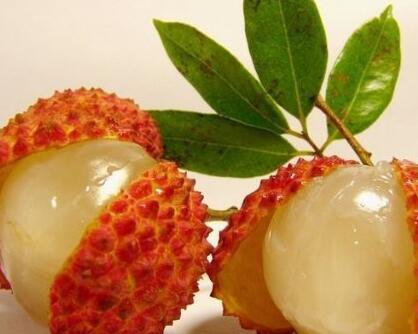 50Pcs A Set litchi fruit seed ProQgf