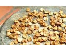 5000Pcs A Set NO-GMO red hot chili peppers seed ProQgf