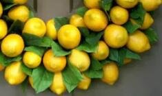 500Pcs A Set lemon tree fruit seed ProQgf