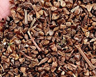 5000Pcs A Set CRAPE MYRTLE tree seed ProQgf