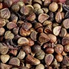 500Pcs A Set boston ivy seed ProQgf