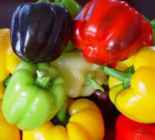 5000Pcs A Set bell pepper vegetable seed ProQgf