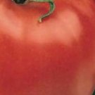 5000Pcs A Set giant monster tomato seed ProQgf