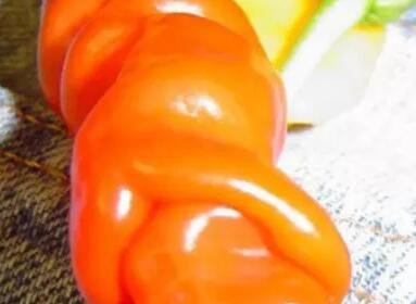 2500Pcs A Set beautiful chile pepper vegetable seed ProQgf