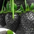100Pcs A Set  Black strawberry fruit seed ProQgf