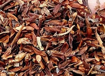 500Pcs A Set Weeping Forsythia tree seed ProQgf