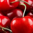 500Pcs A Set cherry fruit tree seed ProQgf
