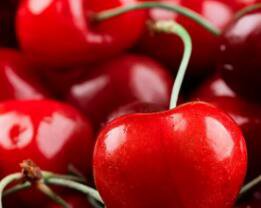 500Pcs A Set cherry fruit tree seed ProQgf